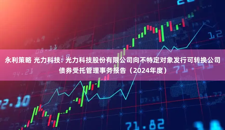 永利策略 光力科技: 光力科技股份有限公司向不特定对象发行可转换公司债券受托管理事务报告（2024年度）