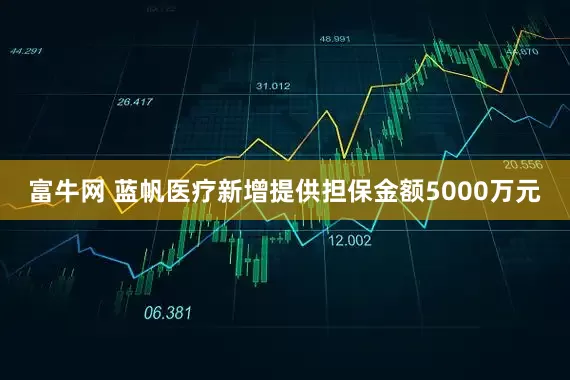 富牛网 蓝帆医疗新增提供担保金额5000万元