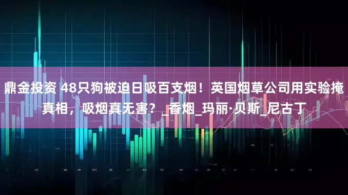 鼎金投资 48只狗被迫日吸百支烟!英国烟草公司用实验掩真相,吸烟真无害?_香烟_玛丽·贝斯_尼古丁