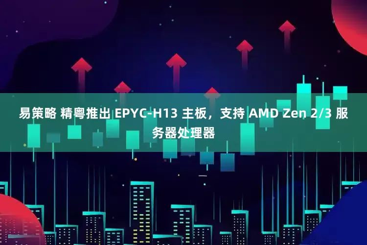 易策略 精粤推出 EPYC-H13 主板,支持 AMD Zen 2/3 服务器处理器