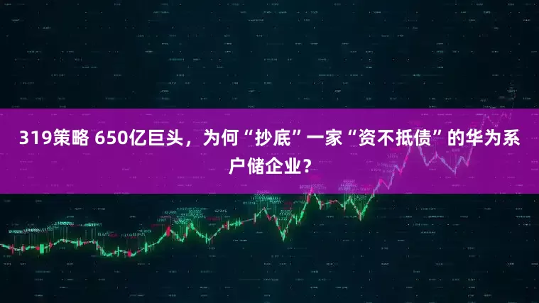 319策略 650亿巨头，为何“抄底”一家“资不抵债”的华为系户储企业？